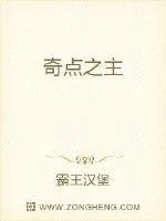 《奇点之主》小说封面