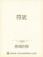 《符武》小说封面