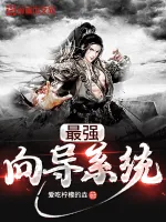 《最强向导系统》小说封面
