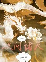 《欲问诸天》小说封面