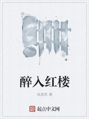 《醉入红楼》小说封面