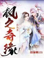 《枫之奇缘》小说封面