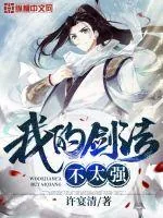 《我的剑法不太强》小说封面