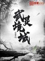 《武灵境域》小说封面