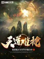 《天道难掩》小说封面
