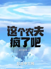 《这个农夫疯了吧》小说封面