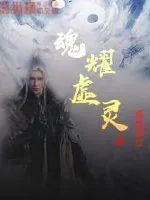 《枪道纵横》小说封面