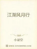 《江湖风雨行》小说封面