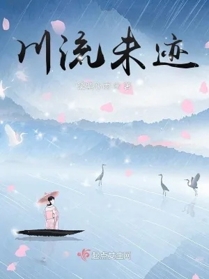 《川流未迹》小说封面