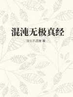 《混沌无极真经》小说封面