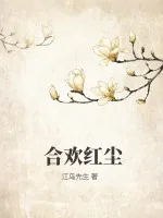 《合欢红尘》小说封面