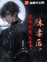 《休妻后,我成武道大帝了》小说封面