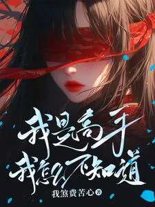 《我是高手我怎么不知道》小说封面