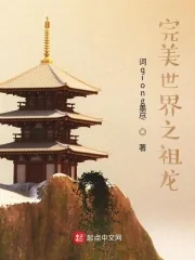 《完美世界之祖龙》小说封面