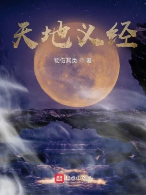 《天地义经》小说封面