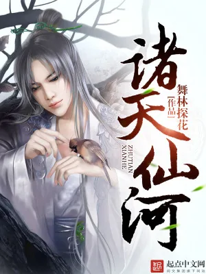 《诸天仙河》小说封面