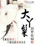 《大丫鬟》小说封面