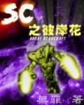 《SC之彼岸花》小说封面