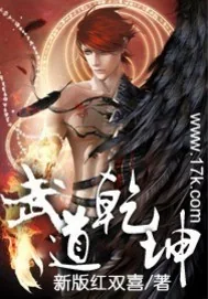 《武道乾坤》小说封面