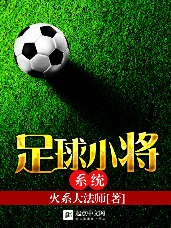 《足球小将系统》小说封面