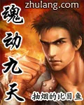 《魂动九天》小说封面