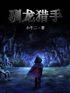 《驯龙猎手》小说封面