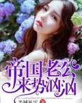 《帝国老公来势汹汹》小说封面