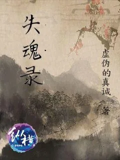 《失魂录》小说封面