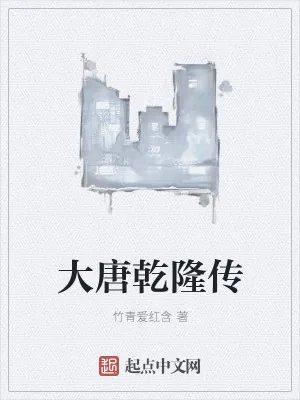 《大唐乾隆传》小说封面