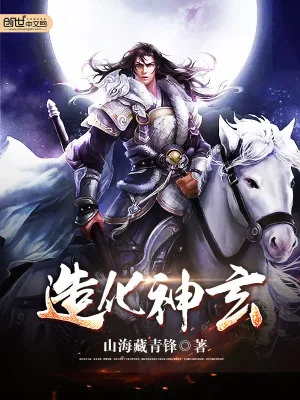 《造化神玄》小说封面