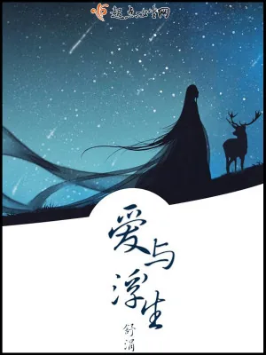 《爱与浮生》小说封面