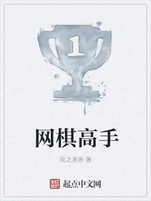 《网棋高手》小说封面