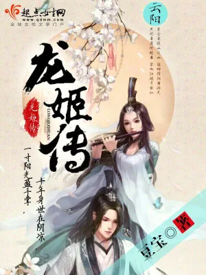 《龙姬传》小说封面