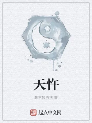 《天忤》小说封面