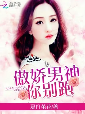 《傲娇男神，你别跑》小说封面
