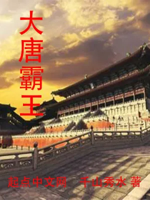 《大唐霸王》小说封面