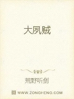 《大夙贼》小说封面