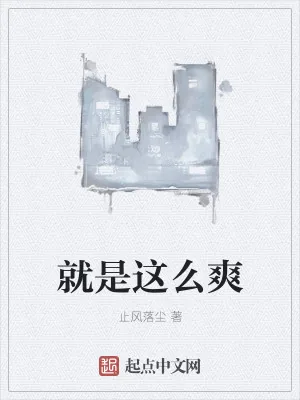 《就是这么爽》小说封面