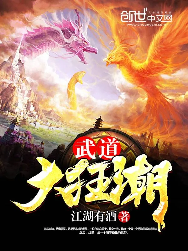 《武道大狂潮》小说封面
