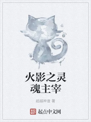 《火影之灵魂主宰》小说封面