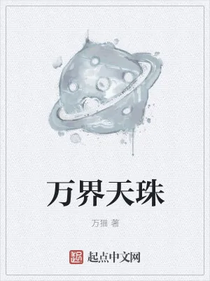 《万界天珠》小说封面