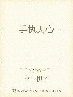 《手执天心》小说封面