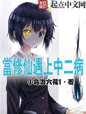 《当修仙遇上中二病》小说封面