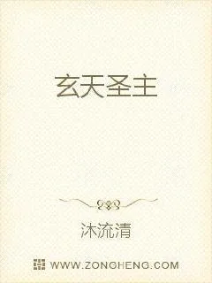 《玄天圣主》小说封面