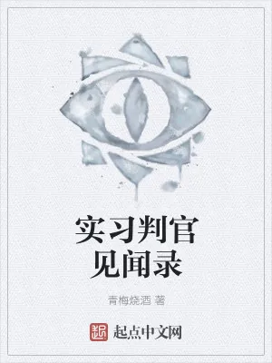《实习判官见闻录》小说封面