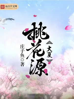 《大夏桃花源》小说封面
