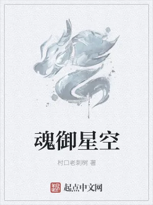 《魂御星空》小说封面