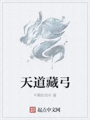 《天道藏弓》小说封面