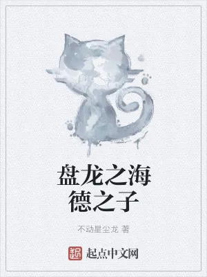 《盘龙之海德之子》小说封面