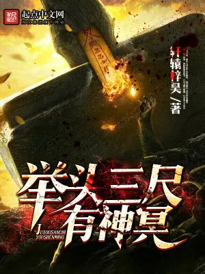《举头三尺有神冥》小说封面